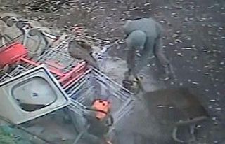 Güvenlik kamerasına yakalanan hırsız çaldıklarını...