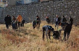 Hakkari Belediyesinden şehir temizliği