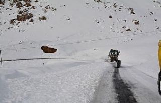 Hakkari’de 20 yerleşim yeri kapandı