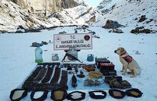 Hakkari’de silah ve mühimmat ele geçirildi