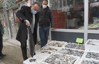 Hakkari’de su ürünleri denetimi