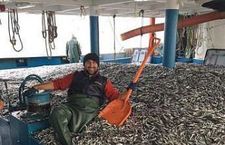 Hamsi bereketi balıkçının yüzünü güldürdü