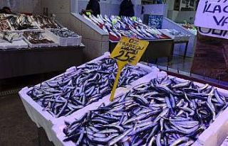 Hamsi fiyatıyla şaşırtmaya devam ediyor