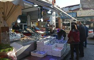 Hamsi fiyatları asansör gibi