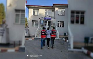 Hapis cezası bulunan 2 kişi jandarma tarafından...