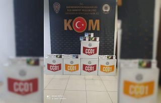 Hatay’da 74 bin 600 adet makaron ele geçirildi