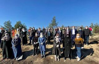 Hatay’da Dostluk Ormanı uluşturuldu