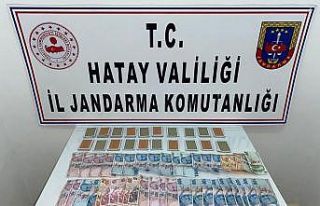 Hatay’da jandarmadan kumar operasyonu