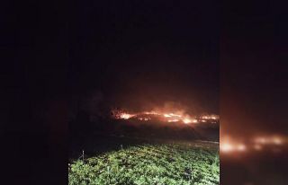 Hatay’da tarihi turistik bölgede yangın