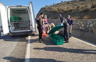 Hatay’da yol kenarında ceset bulundu