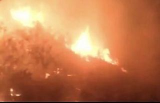 Hatay’da zeytinlik yangını 5 saatte kontrol altına...