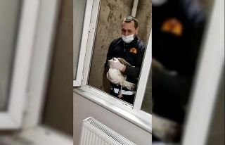 Havalandırma boşluğuna düşen martı kurtarıldı