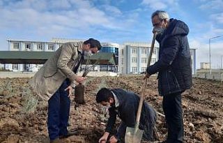 Havsa Meslek Yüksekokulu’nun havası, aromatik...