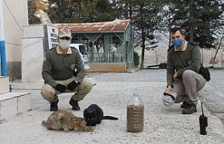 HAYDİ polisleri sokak hayvanlarını unutmadı