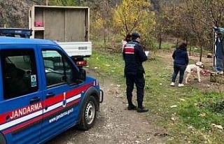 HAYDİ sokak hayvanlarının yanında