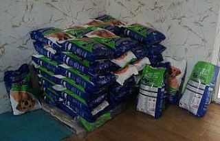 HAYTAp’tan kedi ve köpekler için mama bağışı