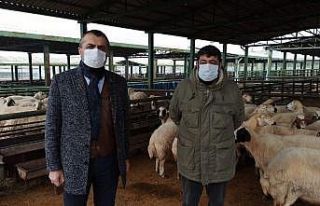 Hayvan yetiştiricilerine maske dağıtıldı