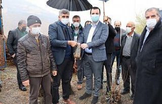 Hazro’da çiftçilere 28 bin adet fıstık, ceviz...