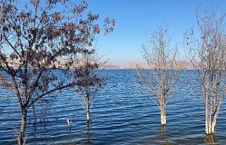 Her yerde baraj ve göllerde su seviyesi düştü,...
