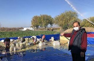 Hesap makinesini değil toprağı tercih etti