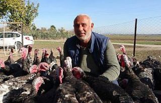 Hindiler onu kendi işinin patronu yaptı