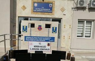 Hırsızlık zanlıları 82 saatlik görüntü kaydı...