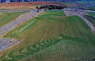 Hububat üreticisi gözünü bulutlara dikti