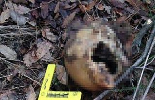 İki aydır kayıptı, cesedi derede bulundu