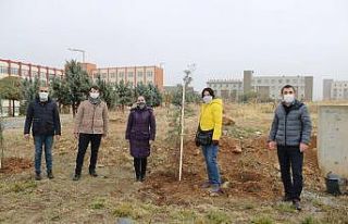 İletişimciler de fidan kampanyasına katıldı
