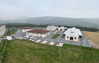 İnegöl Belediyesi 7 bin 700 can dostuna şifa oldu