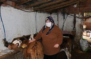 İŞKUR’un engellilere desteğiyle hayvan aldı,...