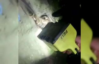 İtfaiyeden, boru içinde mahsur kalan kediyi kurtarma...