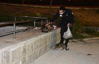 İzmir polisinden örnek davranış: Aç kalan hayvanları...
