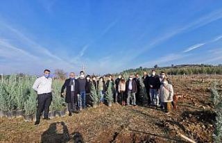 İzmir’de her çocuk adına bir fidan