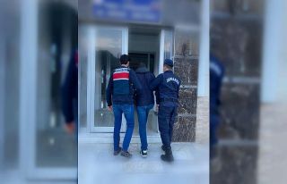 İzmir’de, jandarmadan sosyal medyada terör takibinde...