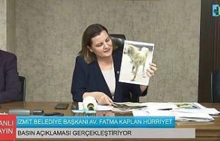 İzmit Belediye Başkanı Hürriyet sokak köpeklerinin...