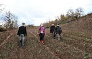 İzmit’te salep ve ekinezya üretimi için inceleme...
