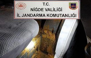 Jandarma 700 gram bonzai ele geçirdi