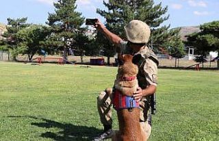 Jandarma, can dostları köpekler için kısa film...