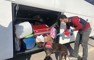 Jandarma ekipleri suçlulara göz açtırmıyor