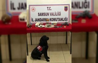 Jandarmadan ‘kubar esrar’ operasyonu