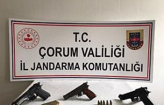 Jandarma’dan silah operasyonu