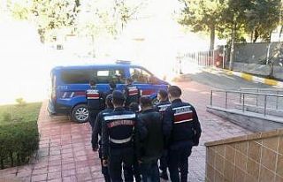 Jandarmadan terör propagansı yapanlara operasyon