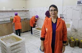 Kadın kooperatifi kivi ve hurmadan pestil üretimine...