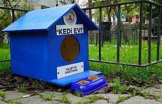 Kağıthane’de sokak hayvanları unutulmuyor