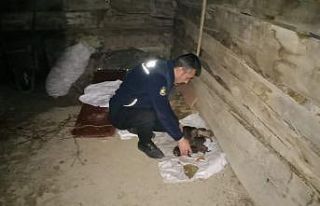 Kahraman itfaiyeciler alevlerin arasında kalan 8...