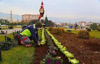 Kahramanmaraş çiçeklerle renkleniyor