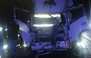 Kamyon önünde giden tıra çarptı: 1 ölü 1 yaralı