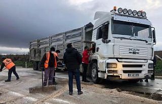 Kamyon yoldan çıktı, kilometrelerce kuyruk oluştu