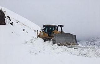 Kar esareti başladı